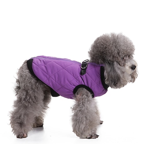 

Vestiti Del Cane Vestiti Invernali Vestiti Dell'animale Domestico Giacca Con Cerniera Amazon Hot Style Vestiti Invernali Vestiti Dell'animale Domestico Giacca Imbottita