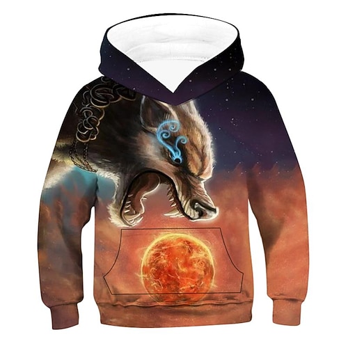 

Kids Boys Hoodie Graphic Outdoor 3D Print Long Sleeve Pocket Fashion 3-12 Years Winter Multicolor