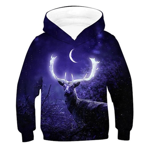 

Kids Boys Hoodie Graphic Outdoor 3D Print Long Sleeve Pocket Streetwear 3-12 Years Winter Purple