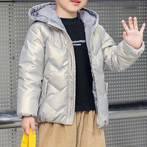 

Kids Unisex Down Coat Outerwear Cartoon Plain Long Sleeve Coat Daily Active Cool Green Blue Gold Winter Fall 2-6 Years