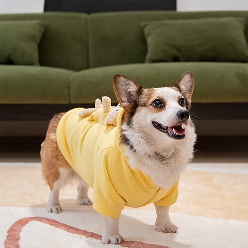 

Short Leg Captain Pet Clothes Bear Sweater Autumn and Winter Warm Dog Hooded Cotton Coat Corgi Shiba Inu Milk Yellow