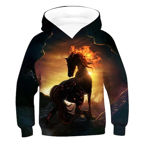 

Kids Boys Hoodie Graphic Outdoor 3D Print Long Sleeve Pocket Fashion 3-12 Years Winter Brown