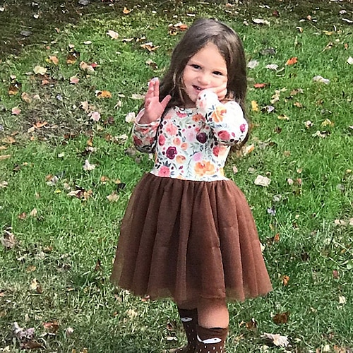 

Kids Little Girls' Dress Floral A Line Dress Daily Holiday Brown Knee-length Long Sleeve Beautiful Sweet Dresses Fall Winter Regular Fit 1-5 Years