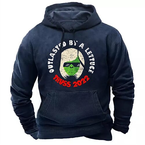 

Men's Pullover Hoodie Sweatshirt Blue Hooded Letter Graphic Prints Print Daily Sports 3D Print Basic Streetwear Designer Spring Fall Clothing Apparel Hoodies Sweatshirts