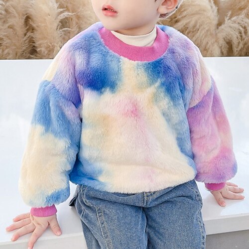 

Toddler Girls' Sweatshirt Gradient School Long Sleeve Active 3-7 Years Winter Green Purple Pink / Fall
