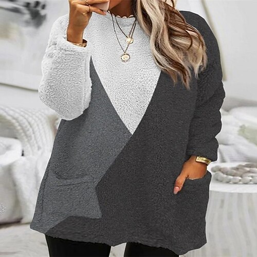 

Women's Plus Size Casual Dress Color Block Crew Neck Long Sleeve Winter Fall Casual Mini Dress Daily Going out Dress / Hoodie Dress