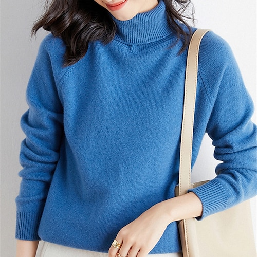 

Damen Pullover Strickwaren Gerippt Stricken Strick Einfarbig Rollkragen Stilvoll Casual Outdoor Täglich Winter Herbst Blau Purpur Rosa S / Langarm / Festtage / Regular Fit / Ausgehen