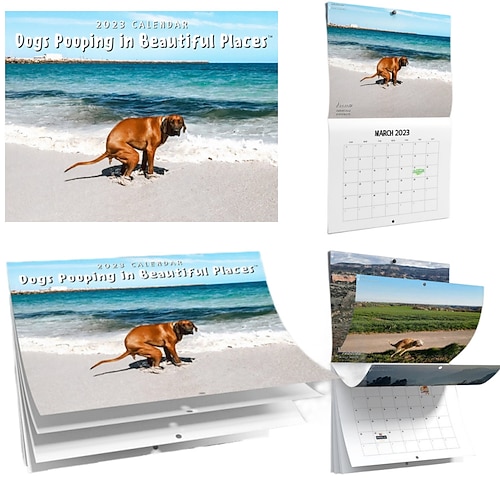 

Funny Calendar 2023 Dogs Pooping In Beautiful Places Calendar Funny Wall Art Christmas Holiday Gag Gift Prank Item