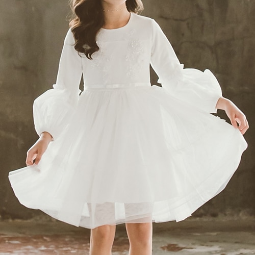 

Bambino Da ragazza Vestito Tinta unica Abito linea A Sopra il ginocchio Vestito Feste Cotone Manica lunga Da principessa Vestito 3-12 anni Inverno Rosso Bianco