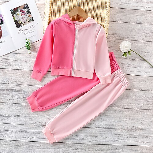 

2 Pieces Toddler Girls' Color Block Hoodie & Pants Set Long Sleeve Active School 3-7 Years Winter Pink / Fall
