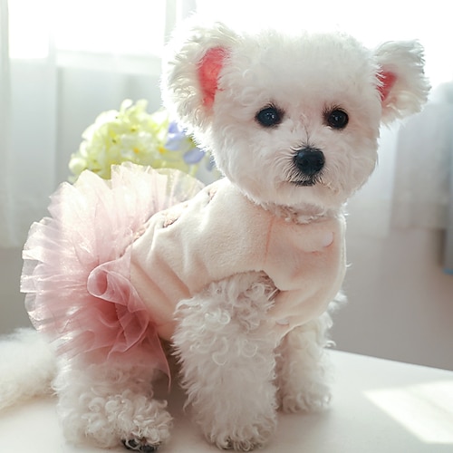 

Cachorros Gatos Vestidos Vacas leiteiras Estilo bonito Adorável Dia a Dia Dia Dos Namorados Inverno Roupas para Cães Roupas de cachorro Roupas de cachorro Macio Branco / Preto Rosa pérola Ocasiões