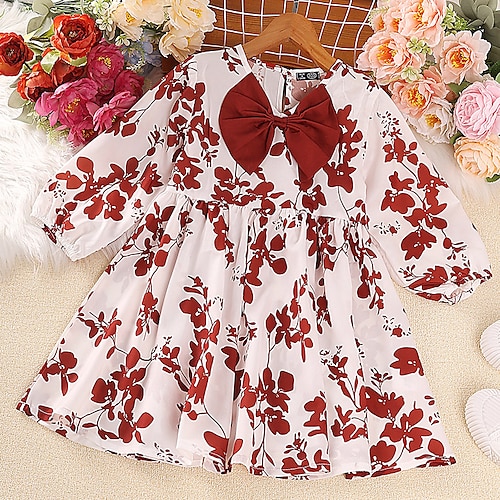 

Kids Girls' Dress Floral A Line Dress Above Knee Dress Outdoor Cotton Long Sleeve Fashion Dress 1-6 Years Winter White / Fall