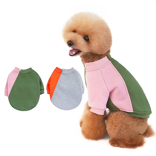 

Chien Chat Sweat-shirt Bloc de couleur Le style mignon à la mode Extérieur Casual Quotidien L'hiver Vêtements pour Chien Vêtements pour chiots Tenues De Chien Respirable Vert Gris Costume pour fille