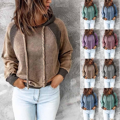 

Women's Hoodie Color Block Multi Color Basic Hooded Standard Winter claret Lake blue Blue Purple Brown