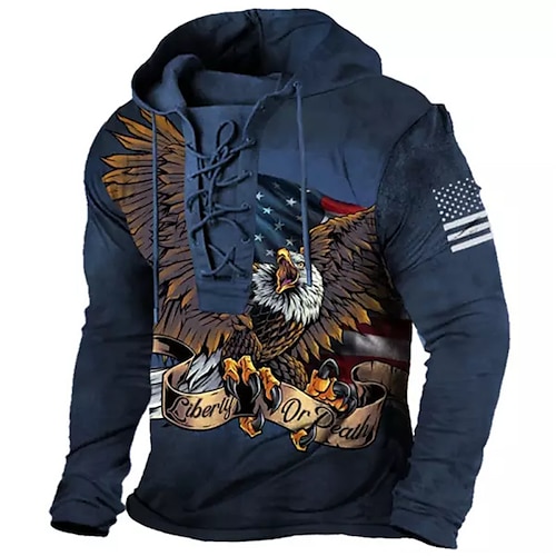 

Hombre Sudadera Con Capucha Pull-over Azul Piscina Con Capucha Estampados Águila Acordonado Estampado Casual Diario Deportes Impresión 3D Básico Ropa de calle Design Primavera Otoño Ropa Sudaderas