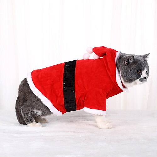 

European and American Sweater Halloween Christmas Pet Sweater Devil Cat Dog Sweater Teddy Dog Autumn and Winter Costume