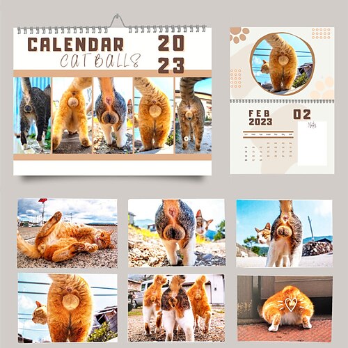 

calendario divertente gatti buttholes calendario 2023 12 mesi, calendario da parete con culo di gatto animale divertente