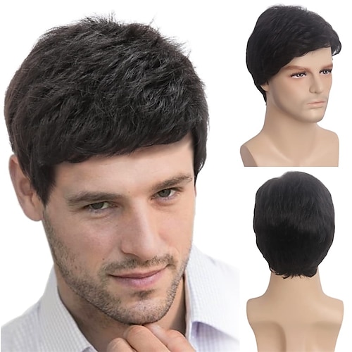 

Black Men Wig Short Wigs for Mens Straight Synthetic Layer Hair For Man Male Guy Daily Cosplay Party Anime Costume Mens Wig