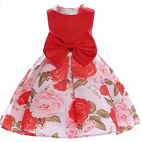 

Toddler Girls' Dress Graphic Party Dress Knee-length Dress Performance Ruched Sleeveless Fashion Dress 3-7 Years Fall Pink Red / Spring