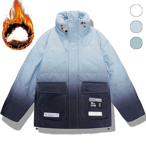 

Men's Coat Warm Sports & Outdoor Zipper Gradual 3D Printed Graphic Standing Collar Fashion Jacket Outerwear Long Sleeve Pocket Fall & Winter