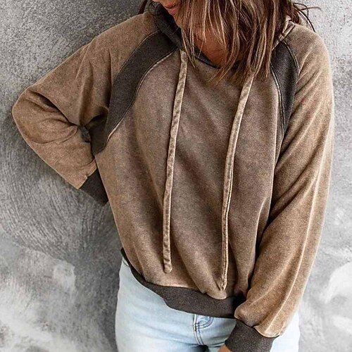 

Women's Hoodie Sweatshirt Basic Streetwear Lake blue Purple Wine Plain Hoodie Long Sleeve S M L XL 2XL 3XL