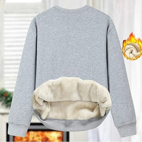

Women's Sweatshirt Pullover Active Sherpa Fleece Teddy Pink Grey Black Solid Color Street Round Neck Long Sleeve Fleece S M L XL 2XL