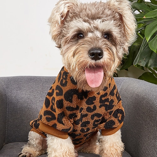 

høst og vinter nye kjæledyrklær komfortable leopardmønster enkel pullover to fots bodysuit katteklær varme hundeklær