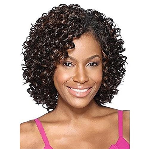 

Short Curly Afro Wigs for Black Women with Side Bangs Synthetic Fiber Afro Kinky Curly Wig Natural Hair African American Hairstyles Costume Wig