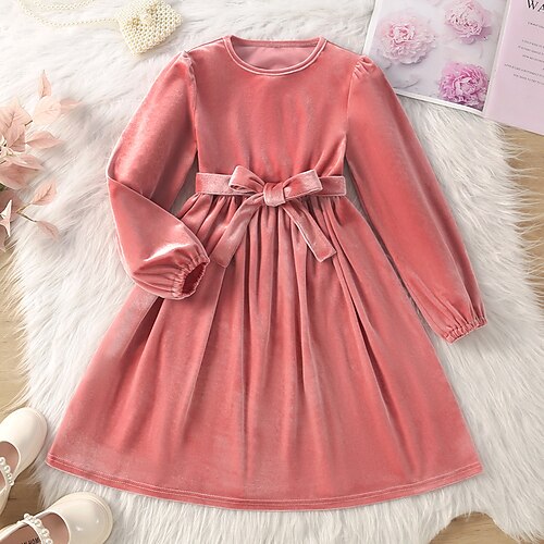

Kids Girls' Dress Solid Color Velvet Dress Above Knee Dress Outdoor Crew Neck Long Sleeve Active Dress 7-13 Years Winter Pink