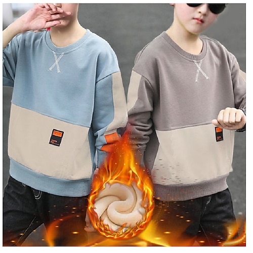 

Kids Boys Sweatshirt Pullover Color Block Long Sleeve Children Top Outdoor Cotton Sweatshirt Cool Daily Brown Light Blue Winter 7-13 Years / Fall