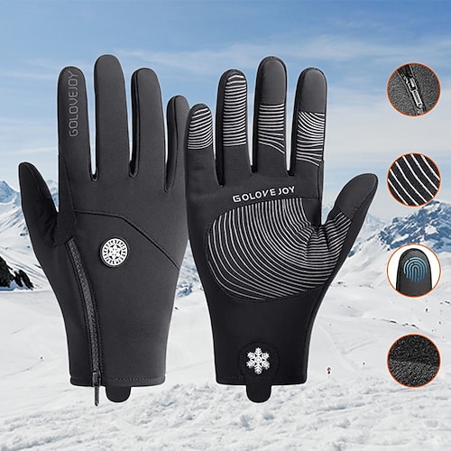 

REXCHI Winter Gloves Bike Gloves Cycling Gloves Winter Full Finger Gloves Anti-Slip Touchscreen Thermal Warm Waterproof Sports Gloves Mountain Bike MTB Camping / Hiking Outdoor Exercise Dark Grey