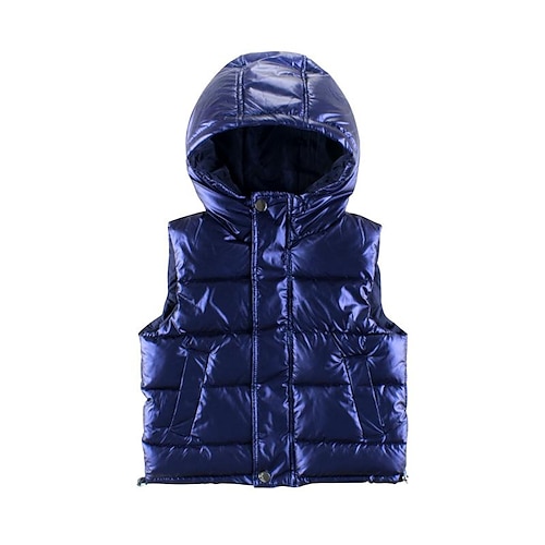 

Bambino (1-4 anni) Da ragazzo Gilet Capispalla Tinta unita / tinta unita Senza maniche Cappotto Da tutti i giorni Comodo Argento Nero Rosso Autunno inverno 3-10 anni