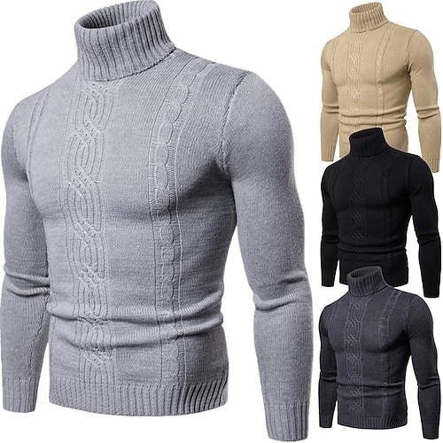 

Herre Bluse Pullover trøje rullekrave sweater Rillet Strikke Beskåret Strikket Helfarve Rullekrave Basale Stilfuld udendørs Daglig Tøj Vinter Efterår Sort Kakifarvet M L XL