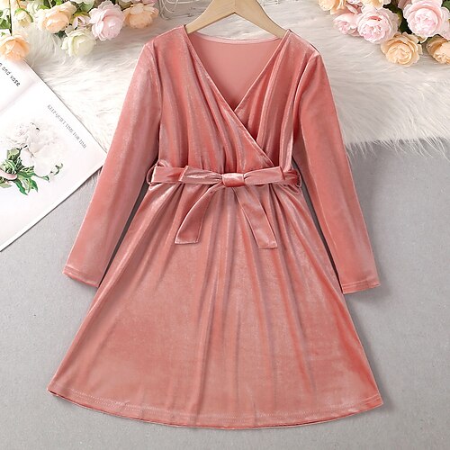 

Kids Girls' Dress Solid Color Velvet Dress Dress School Long Sleeve Adorable Dress 7-13 Years Winter Pink / Fall