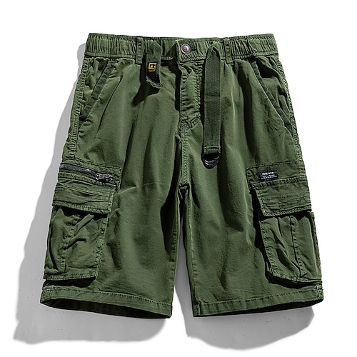 

Hombre Pantalón Corto Cargo Pantalón corto Cintura elástica Multi bolsillo Plano Longitud de la rodilla Casual Diario Ropa de calle Elegante Estilo clásico Negro Verde Ejército