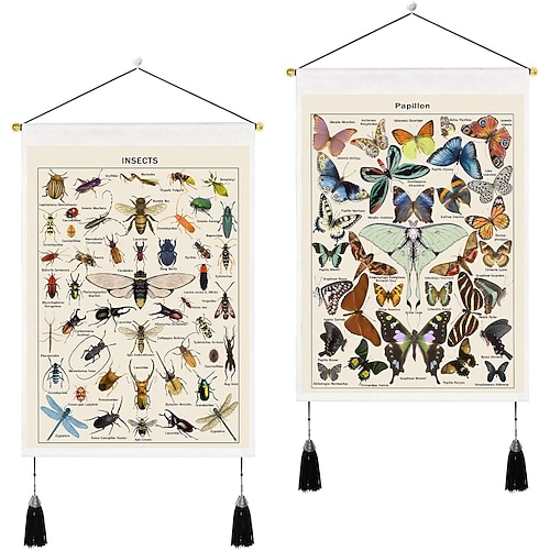 

Pack of 2 Biology Woven Bohemian Wall Tapestry Art Decor Blanket Curtain Hanging Home Bedroom Living Room Decoration Nordic Cotton Linen Tassel Insect 14 x 20