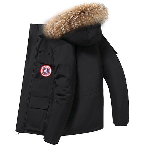 

Dame Vinterjakke Vinterfrakk Parkas Hold Varm Pustende utendørs Dagligdagstøy Feriereise Ut på byen Lomme Fleece Lined Glidelås Hettegenser Fritid dame Bekvem Helfarge Normal Yttertøy Langermet