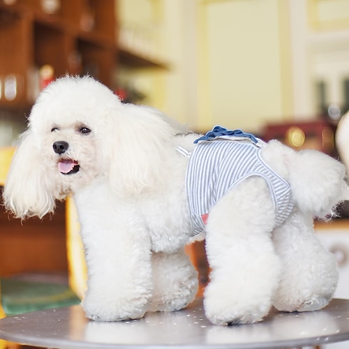 

Cachorros Gatos Calças Menstruais Fisiológicas para Cachorro Listrado Moda Estilo bonito Ao ar livre Casual / Diário Roupas para Cães Roupas de cachorro Roupas de cachorro Macio Rosa claro Verde