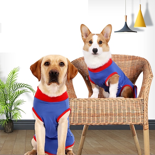 

Cachorros Gatos Traje de recuperação cirúrgica Moda Estilo bonito Ao ar livre Casual / Diário Roupas para Cães Roupas de cachorro Roupas de cachorro Macio Azul Ocasiões Especiais para menina e menino