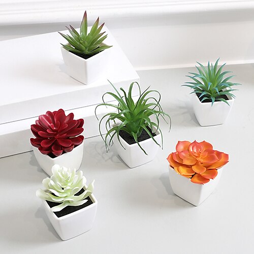 

6pcs mini plante petit pot artificiel charnu multicolore petit pot en plastique blanc en pot convient à la décoration d'étagère de fenêtre de bureau