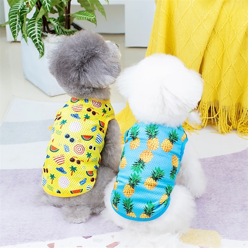 

Chien Chat Gilet Fruit Adorable Doux Extérieur Quotidien Vêtements pour Chien Vêtements pour chiots Tenues De Chien Doux Jaune Bleu Costume pour fille et garçon chien Maille XS S M L XL