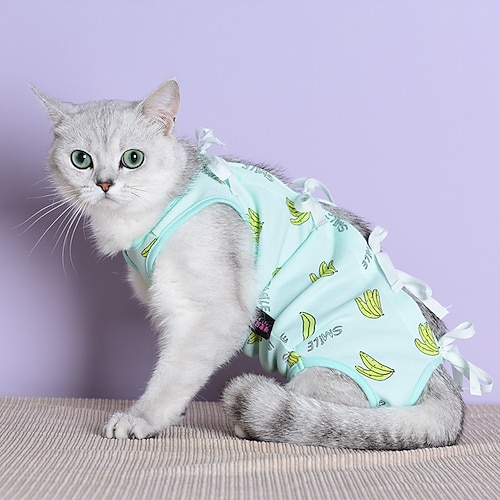 

Prodotti per cani Prodotti per gatti Tuta Di tendenza stile sveglio Al coperto Casual / quotidiano Abbigliamento per cani Vestiti del cucciolo Abiti per cani Traspirante Rosa Verde Costume per