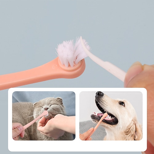 

2 Pcs Pet Supplies Pet Toothbrush Cat Small Head Toothbrush Pet Cat Small Toothbrush Teeth Cleaning Mouth