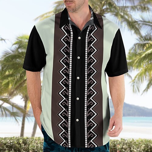

Homme Chemise Chemise hawaïenne Rayé Imprimés Photos Col rabattu Noir Marron clair Bleu Marron Kaki Plein Air Casual Manches courtes Bouton bas Imprimer Vêtement Tenue Tropique Sportif Vêtement de