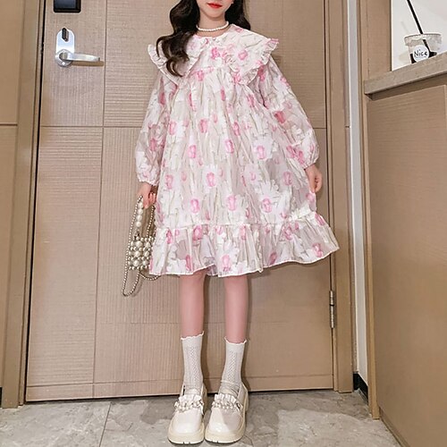 

Bambino Da ragazza Vestito floreale Fiore decorativo Al ginocchio Vestito Formale Girocollo Manica lunga Di tendenza Vestito 7-13 anni Primavera Rosa