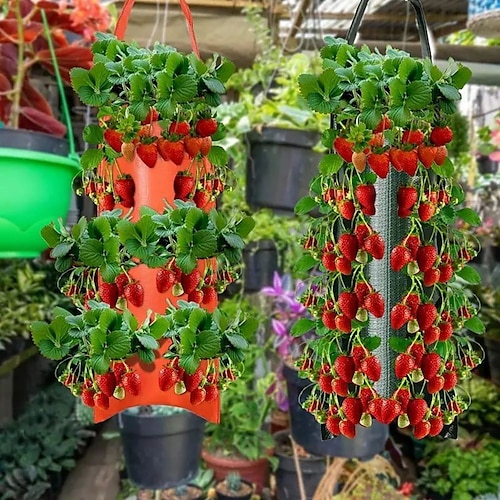 Hanging Strawberry Grow Bag, Strawberry Grow Bag With 8 Holes For Strawberry  Tomato And Pepper Upside Down Tomato Grow Bag, Vegetable Grow Bag,  Gardening Supplies 2026 - GBP 6.49