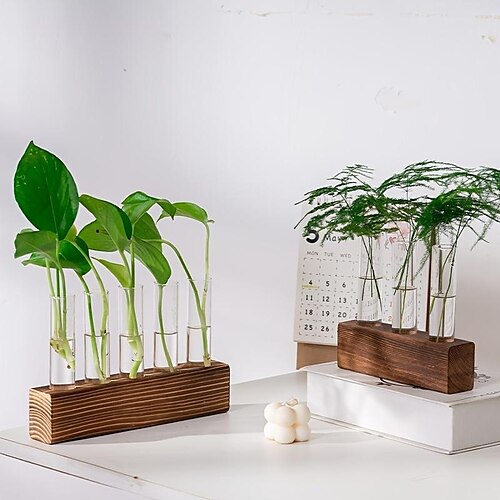 

3/4/5 pçs estação de propagação de plantas de vidro de mesa tubo de teste planta terrário em suporte de madeira para plantas hidropônicas corte escritório decoração de casa