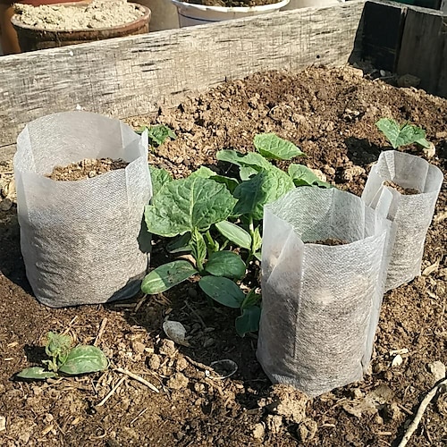 100Pcs Nursery Growing Bags,Non-Woven Fabric Seedlings Grow Bag for High  Seedling Survival Rate,Plant Bags for Planting,Garden Seed Starters Pouch