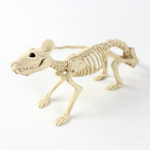 

teschio di animale scheletro decorazioni per la casa decorazione da scrivania oggetti di scena di halloween plastica per cosplay halloween unisex