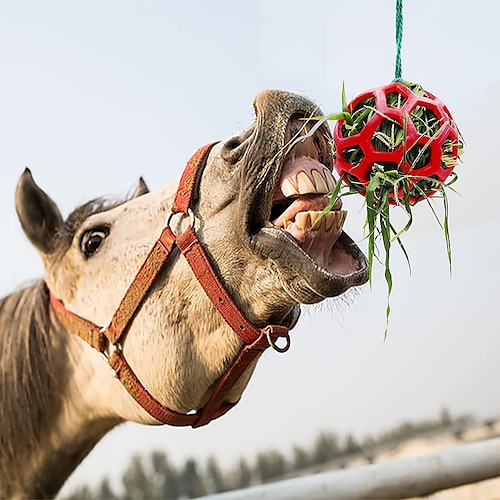 

hest fôr ball høy mater leketøy avlastning stress hestestall hvile geit mating leketøy